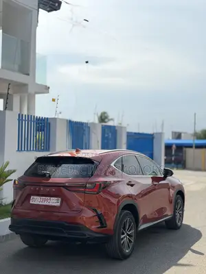 Lexus NX 250 2023 Orange