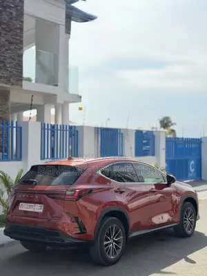 Lexus NX 250 2023 Orange