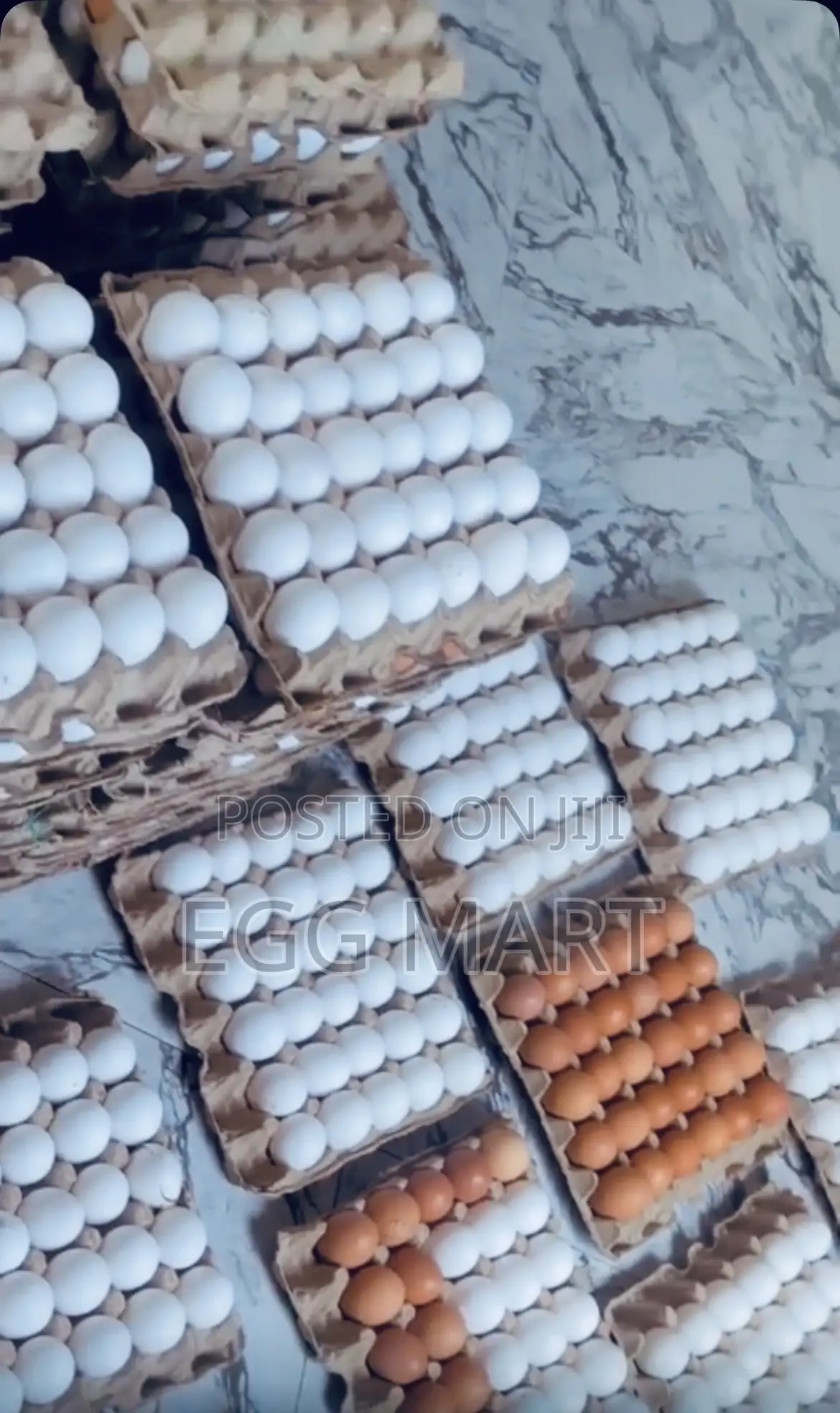 Fresh Farm Eggs for Sale