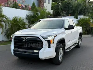 Toyota Tundra 2023 White