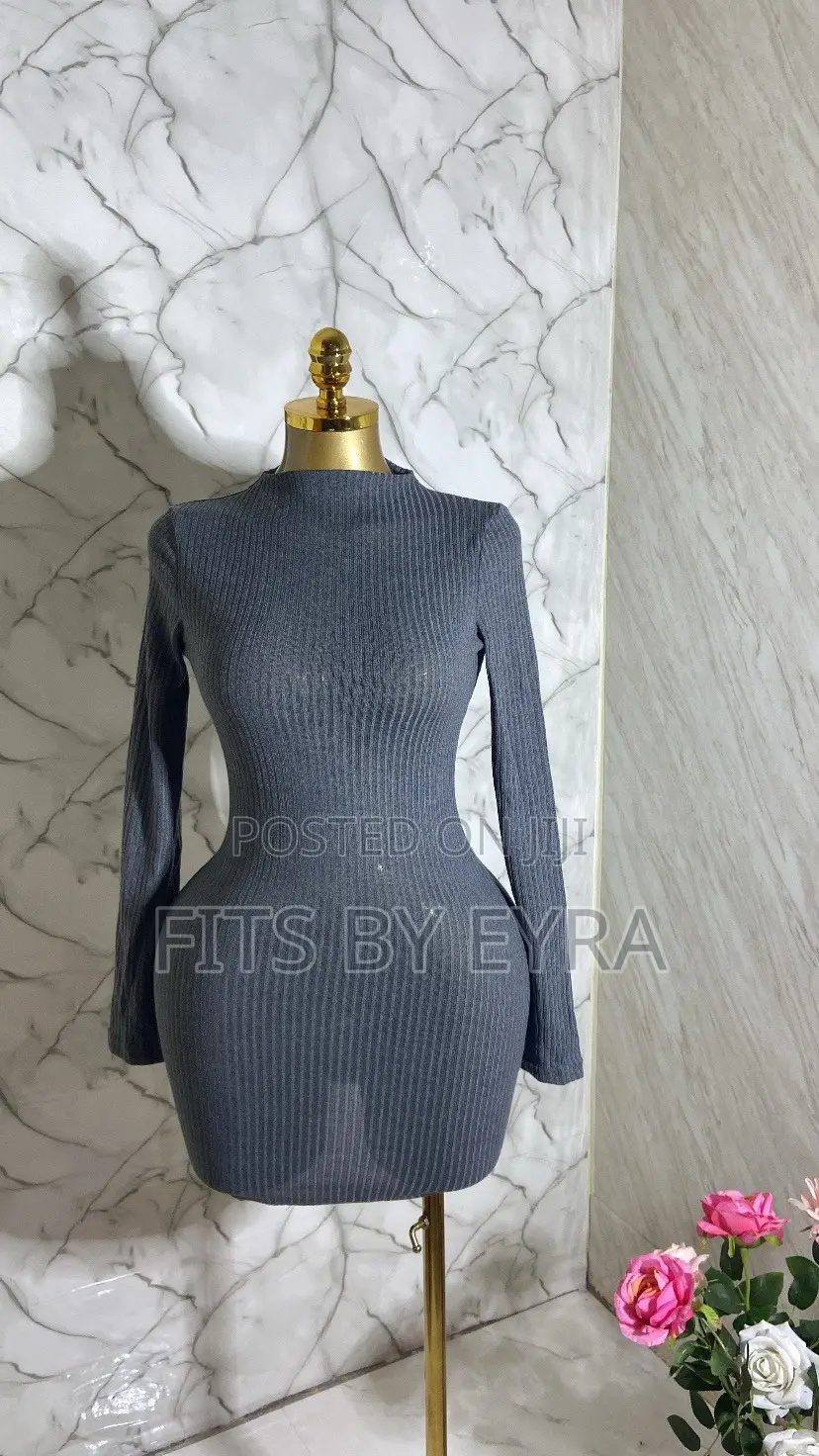 Ash Bodycon Dress