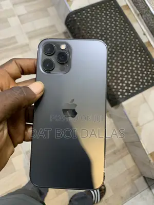 Apple iPhone 12 Pro Max 256 GB Gray