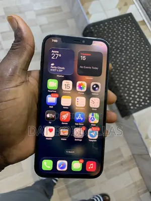 Apple iPhone 12 Pro Max 256 GB Gray