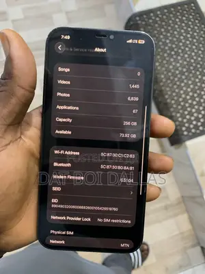 Apple iPhone 12 Pro Max 256 GB Gray