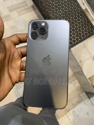 Apple iPhone 12 Pro Max 256 GB Gray