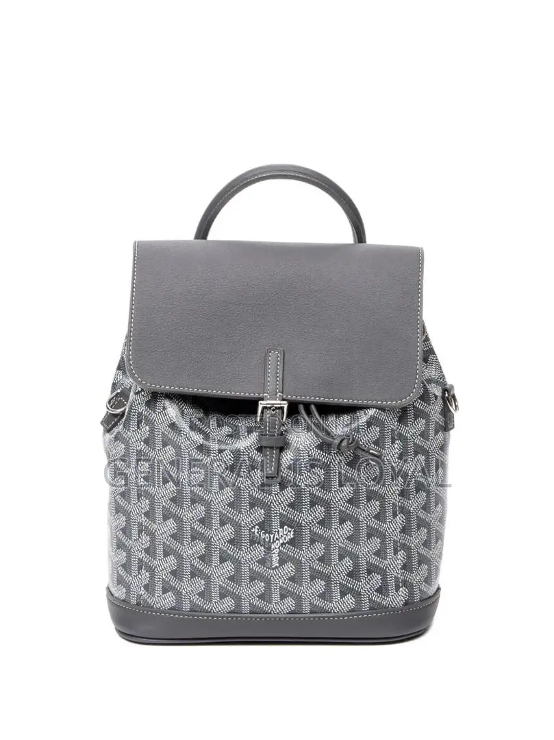 Goyard Alpin MM Backpack in Black Coated Canvas and Calfskin Leather.