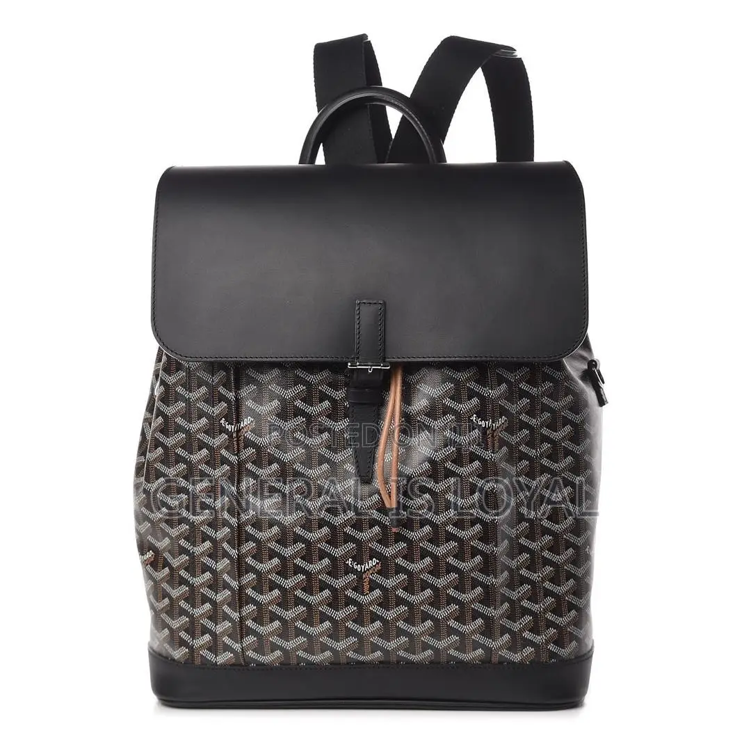 Goyard Alpin MM Backpack in Black Coated Canvas and Calfskin Leather.