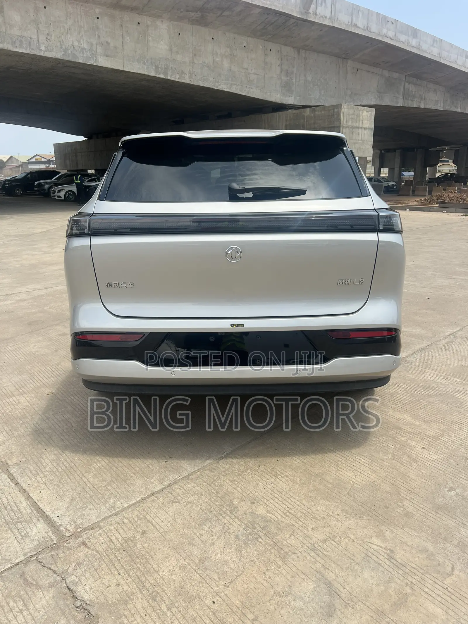 New Dongfeng Rich 2025 Gray