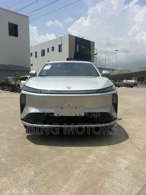 New Dongfeng Rich 2025 Gray