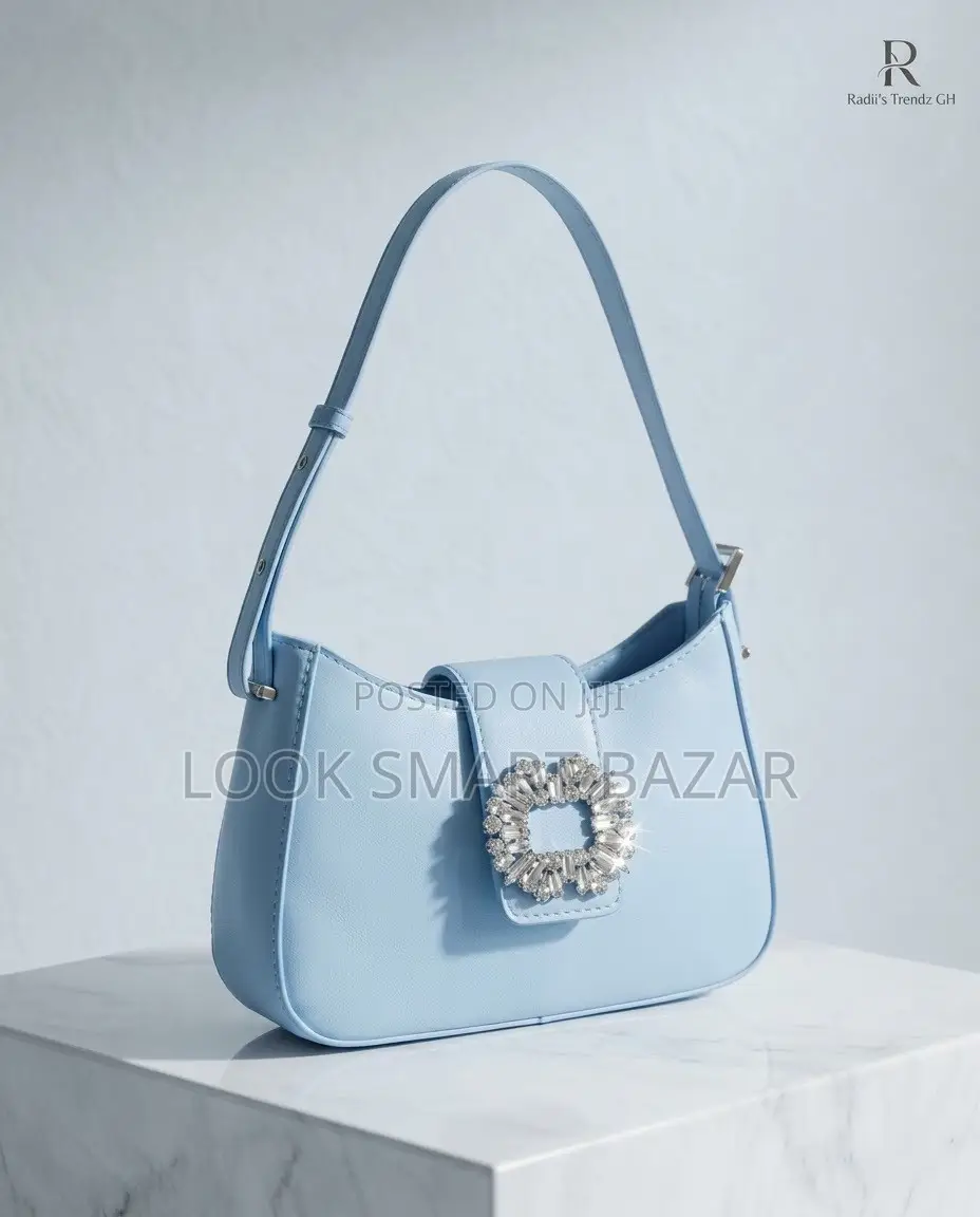 Classy Ladies Handbags for Every Occasion