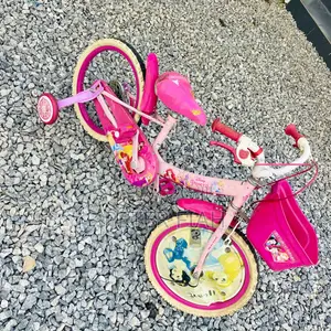 Children's Speed Learning Bicycle With Removable Training Wheels.