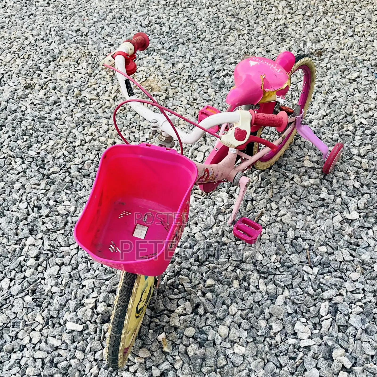 Children's Speed Learning Bicycle With Removable Training Wheels.