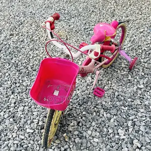 Children's Speed Learning Bicycle With Removable Training Wheels.