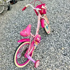 Children's Speed Learning Bicycle With Removable Training Wheels.