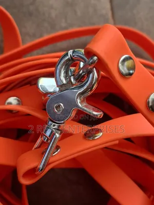 10m Waterproof High-Vis Orange Dog Training Tracking Long Lead