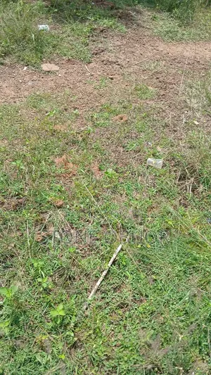 Half Plot for Sale at at Dawenya