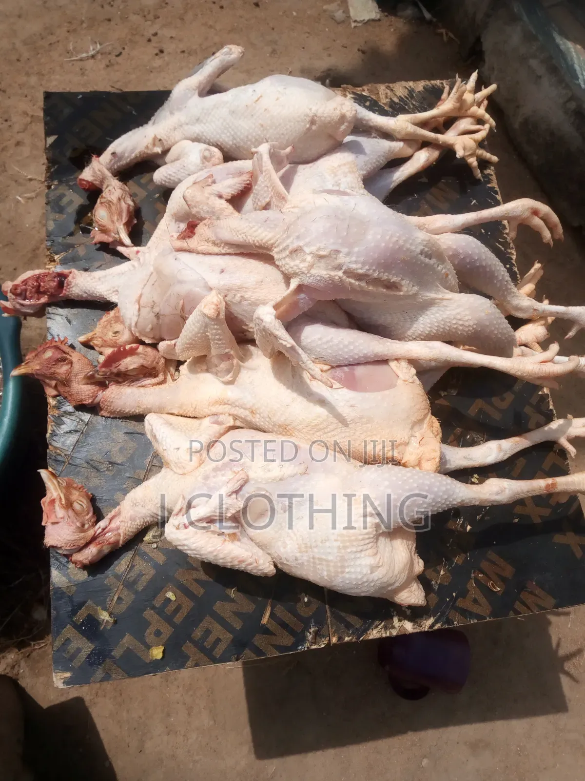 Already Dressed Chicken