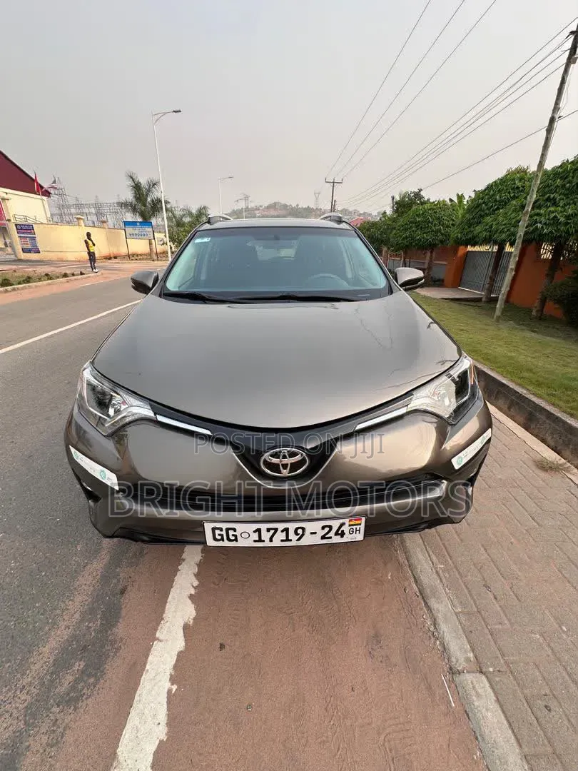 Toyota RAV4 XLE AWD (2.5L 4cyl 6A) 2016 Gray