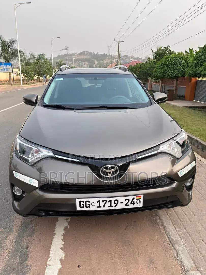 Toyota RAV4 XLE AWD (2.5L 4cyl 6A) 2016 Gray