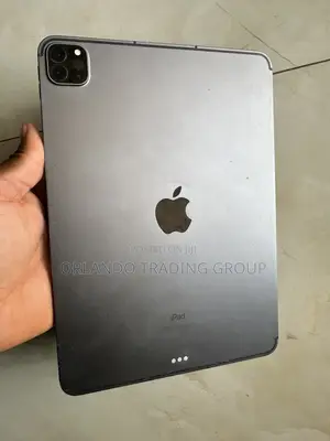 Apple iPad Pro 11 (2024) 256 GB Gray
