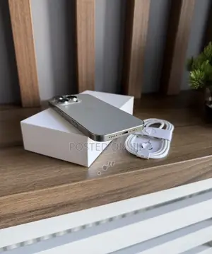 Apple iPhone 16 Pro Max 256 GB Silver