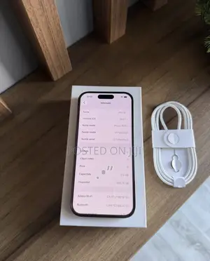 Apple iPhone 16 Pro Max 256 GB Silver