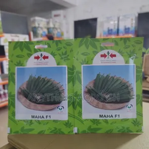 Maha F1 Okra