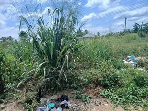 A Plot of Land for Sale at Valley View