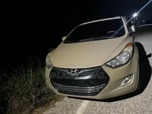 Hyundai Elantra Limited Sedan FWD (1.8L 4cyl 6A) 2013 Beige