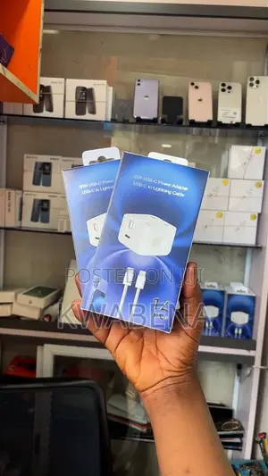 iPhone Charger
