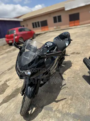Kawasaki Ninja 300 2013 Black