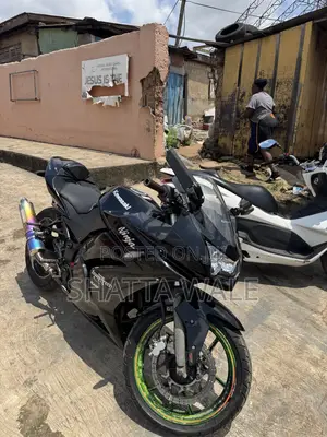 Kawasaki Ninja 300 2013 Black