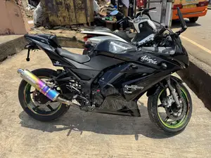 Kawasaki Ninja 300 2013 Black