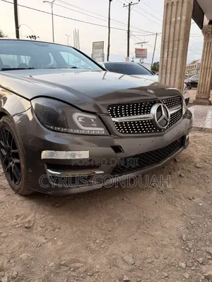 Mercedes-Benz C300 2013 Brown