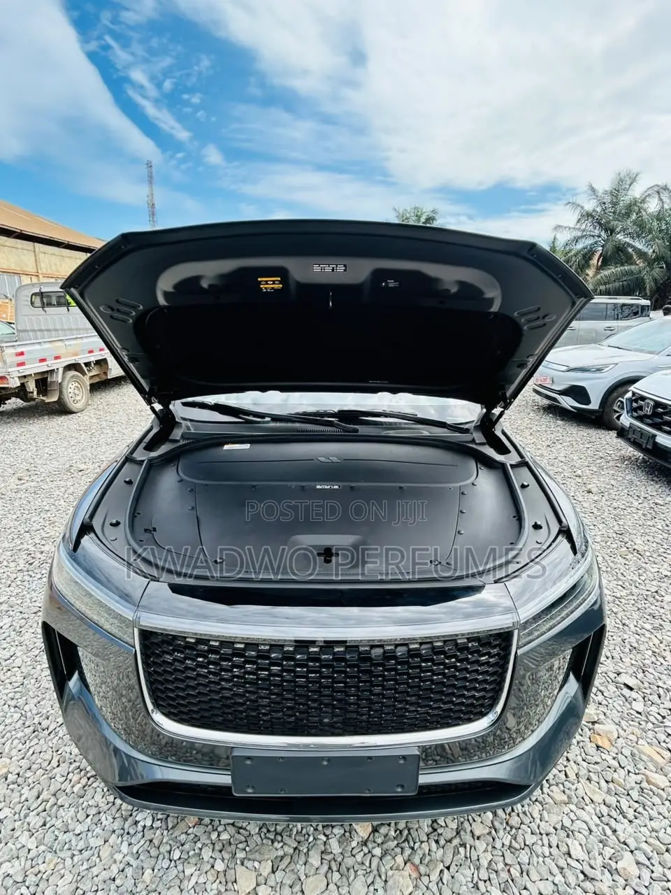 Dongfeng EV EX1 33 kW FWD 2023 Gray