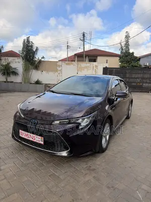 Toyota Corolla SE 2020
