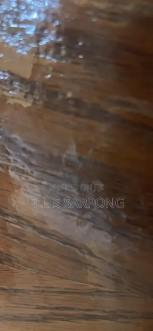 New Honda 2026 Red