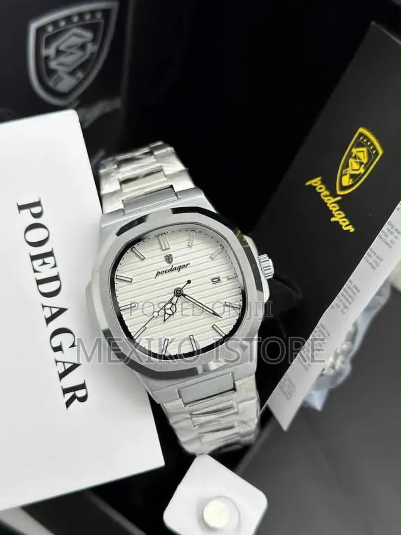Poedagar Men's Luxury Stainless Steel Watches