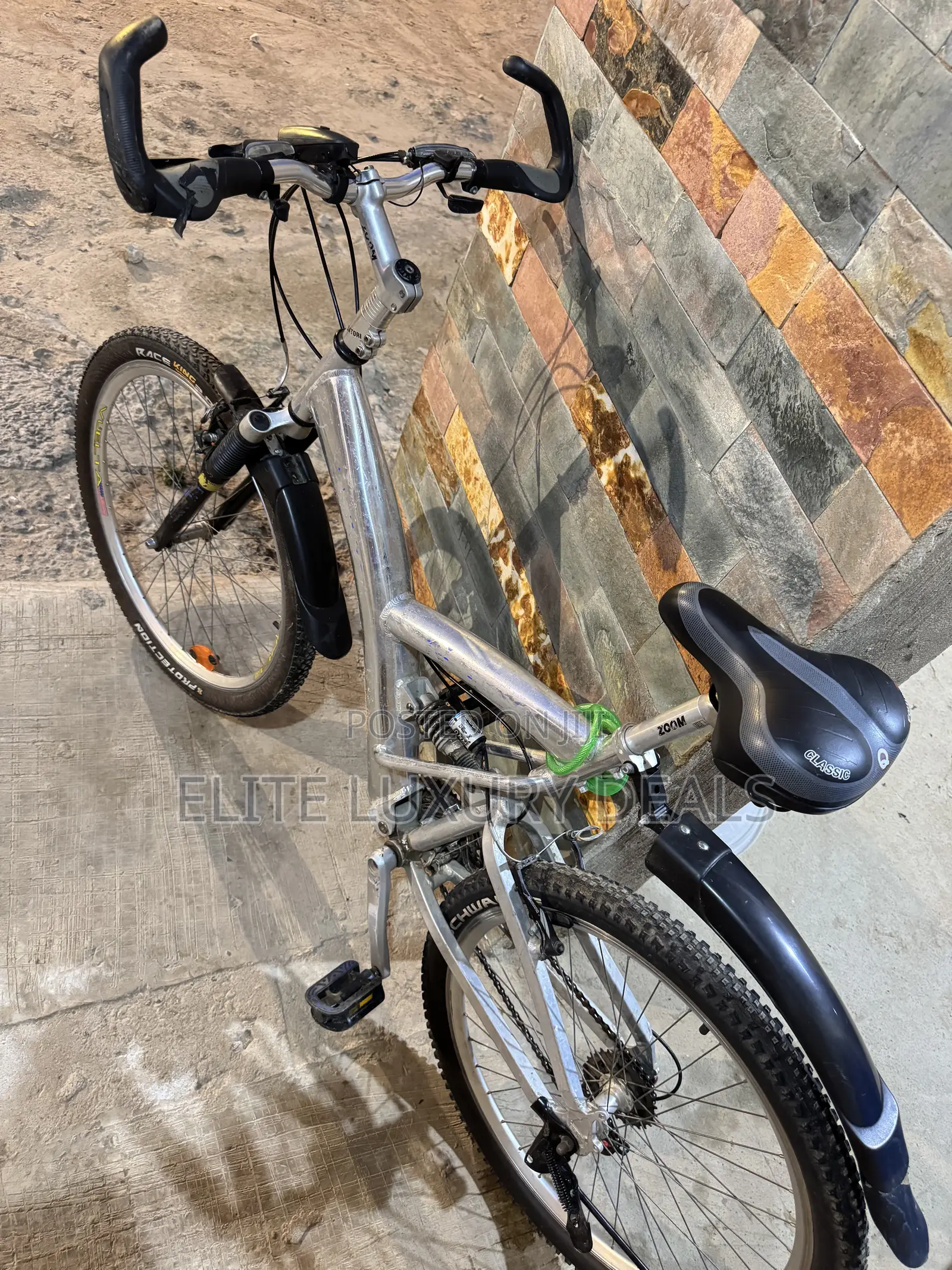 Sporty Silver Mountain Bike