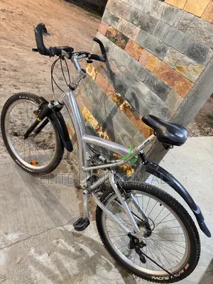 Sporty Silver Mountain Bike