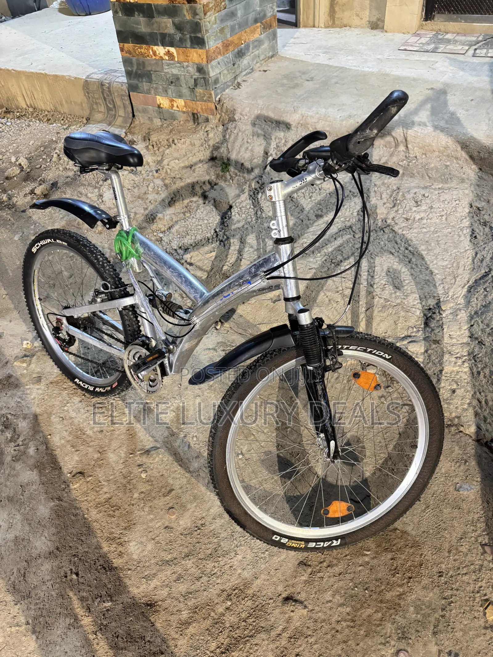 Sporty Silver Mountain Bike