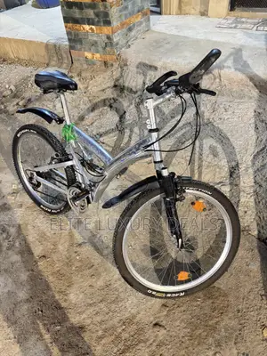 Sporty Silver Mountain Bike