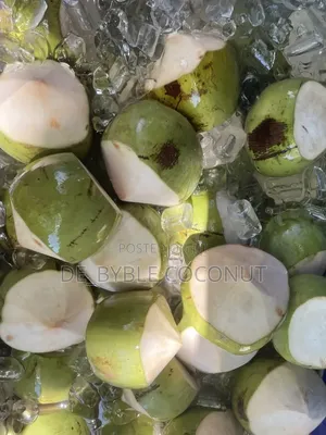 Fresh and Juicy Coconut