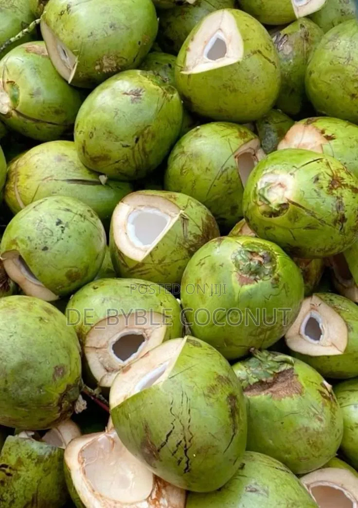 Fresh and Juicy Coconut