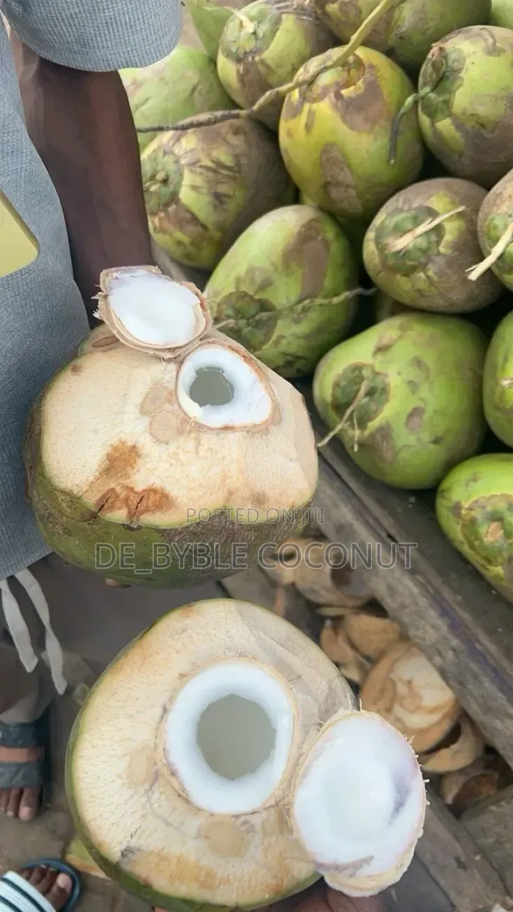 Fresh and Juicy Coconut