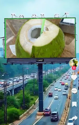 Fresh and Juicy Coconut