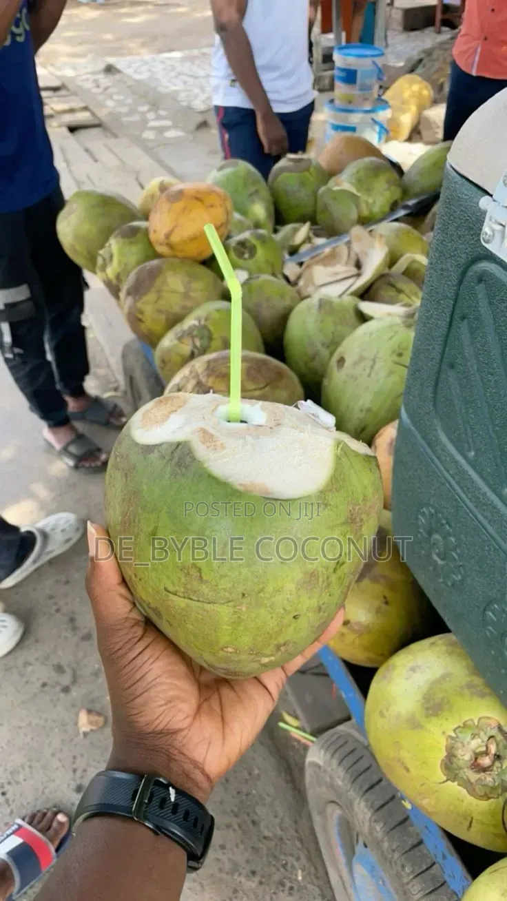 Fresh and Juicy Coconut