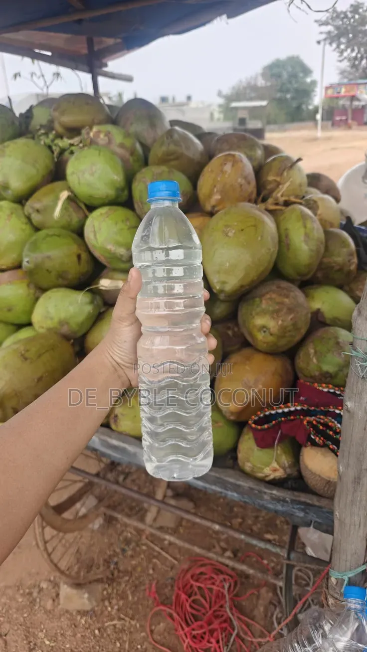 Fresh and Juicy Coconut