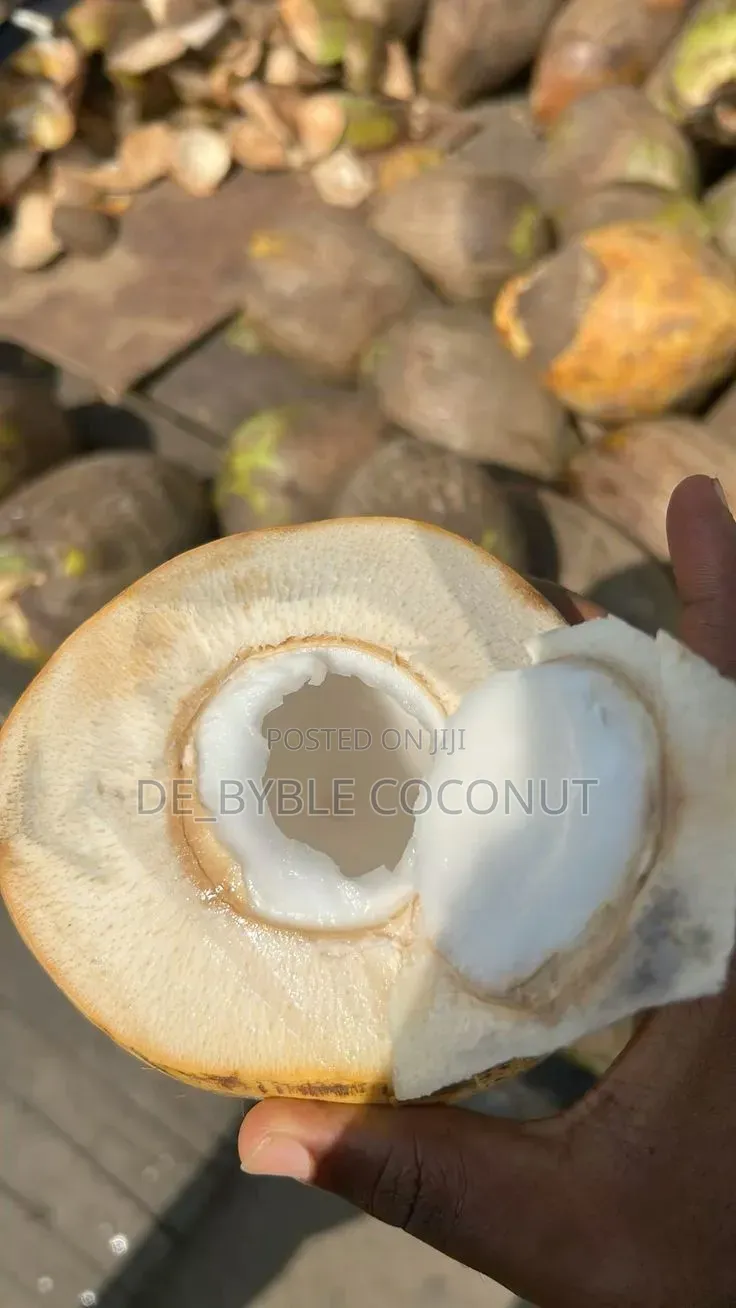 Fresh and Juicy Coconut