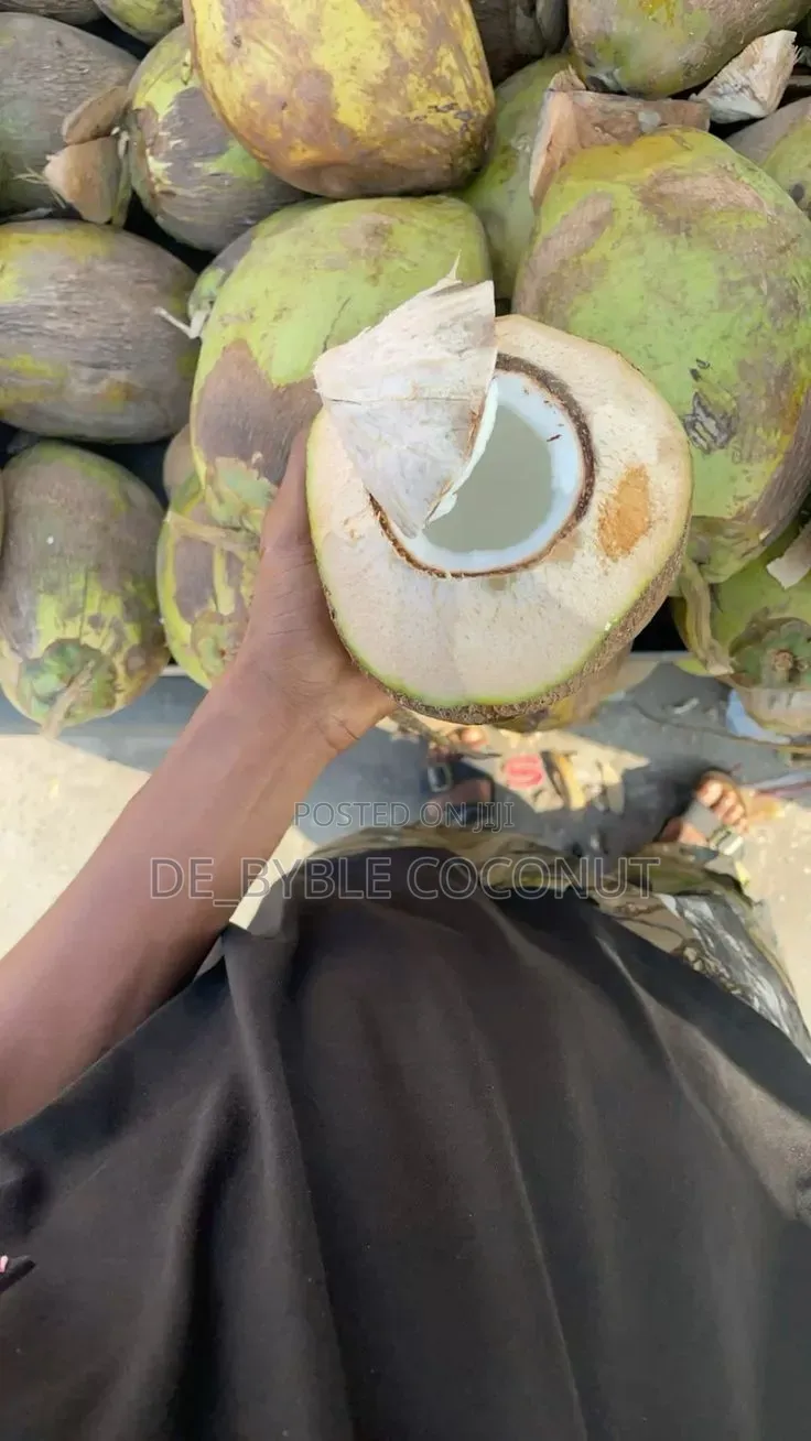 Fresh and Juicy Coconut